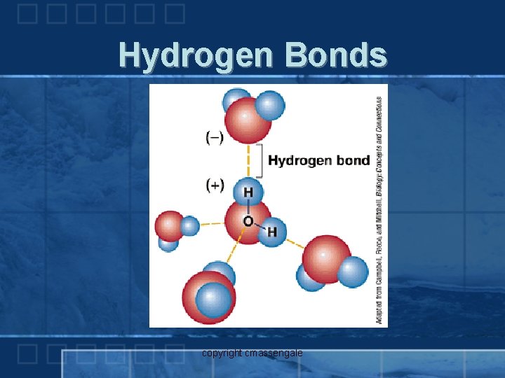 Hydrogen Bonds copyright cmassengale 