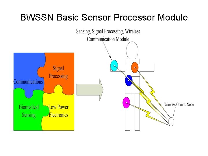 BWSSN Basic Sensor Processor Module 
