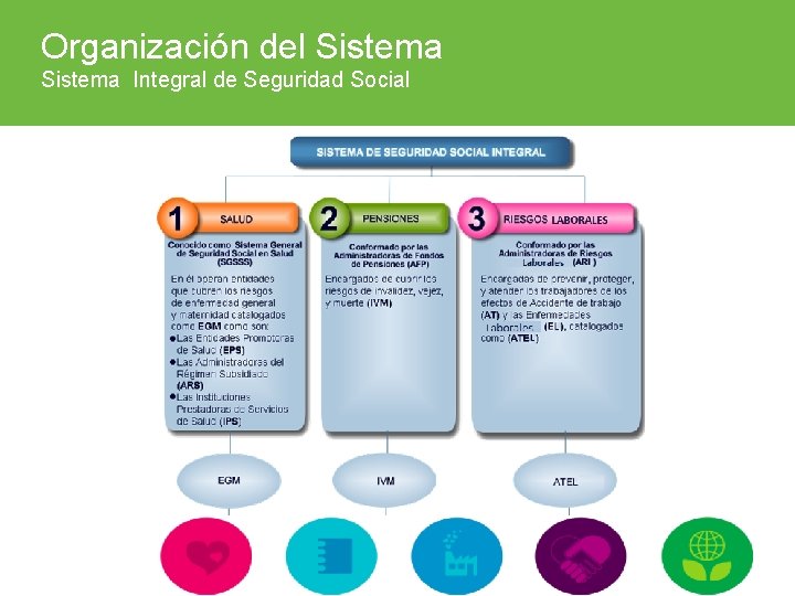 Organización del Sistema Integral de Seguridad Social ARL SURA 