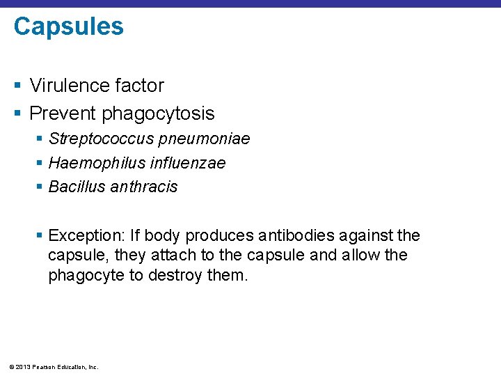 Capsules § Virulence factor § Prevent phagocytosis § Streptococcus pneumoniae § Haemophilus influenzae §