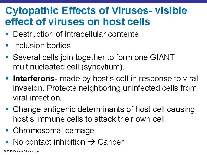 Cytopathic Effects of Viruses- visible effect of viruses on host cells § Destruction of