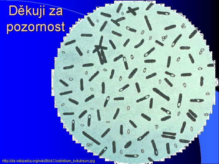 Děkuji za pozornost http: //de. wikipedia. org/wiki/Bild: Clostridium_botulinum. jpg 