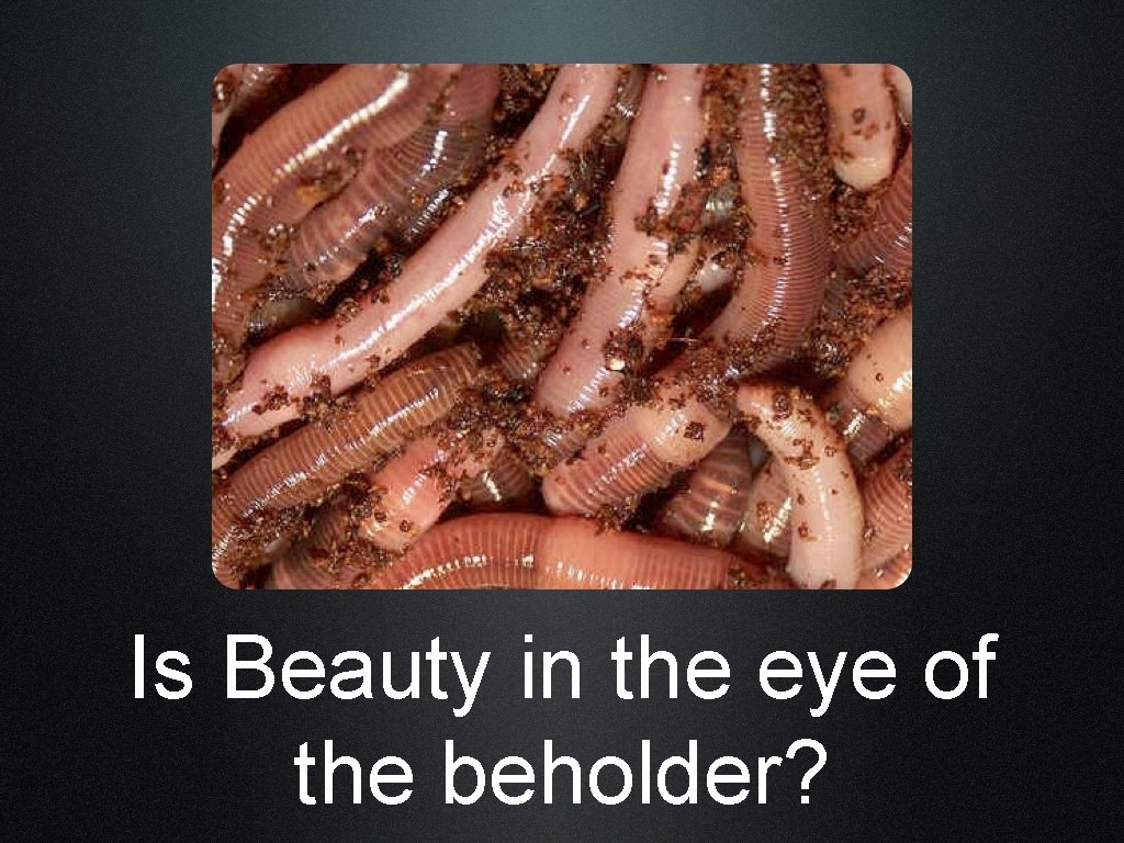 Is Beauty in the eye of the beholder? 