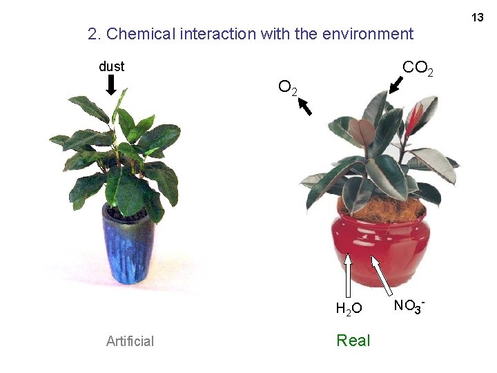 13 2. Chemical interaction with the environment CO 2 dust O 2 H 2