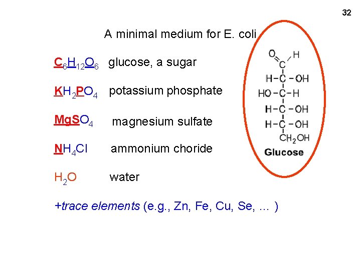 32 MM with glucose A minimal medium for E. coli C 6 H 12