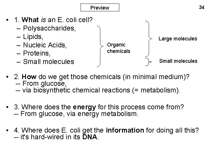 34 Preview • 1. What is an E. coli cell? – Polysaccharides, – Lipids,