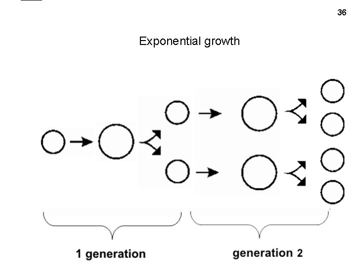 36 Exponential growth 