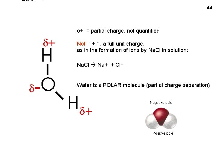 Waterdeltas 44 δ+ = partial charge, not quantified Not “ + ” , a