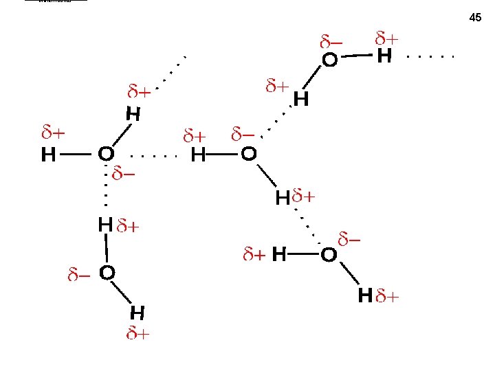 water. Hbonds 45 