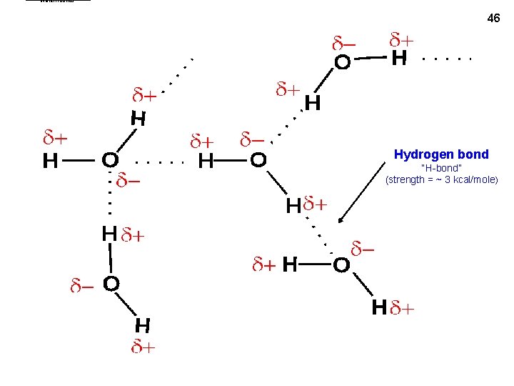 water. Hbonds 46 Hydrogen bond “H-bond” (strength = ~ 3 kcal/mole) 