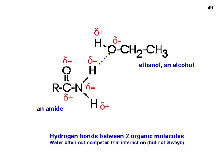 49 ethanol, an alcohol an amide Hydrogen bonds between 2 organic molecules Water often