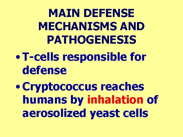MAIN DEFENSE MECHANISMS AND PATHOGENESIS • T-cells responsible for defense • Cryptococcus reaches humans