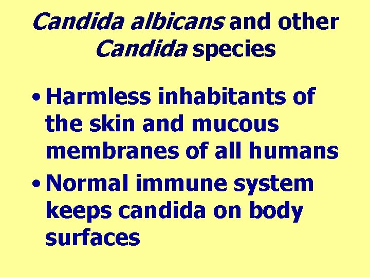 Candida albicans and other Candida species • Harmless inhabitants of the skin and mucous
