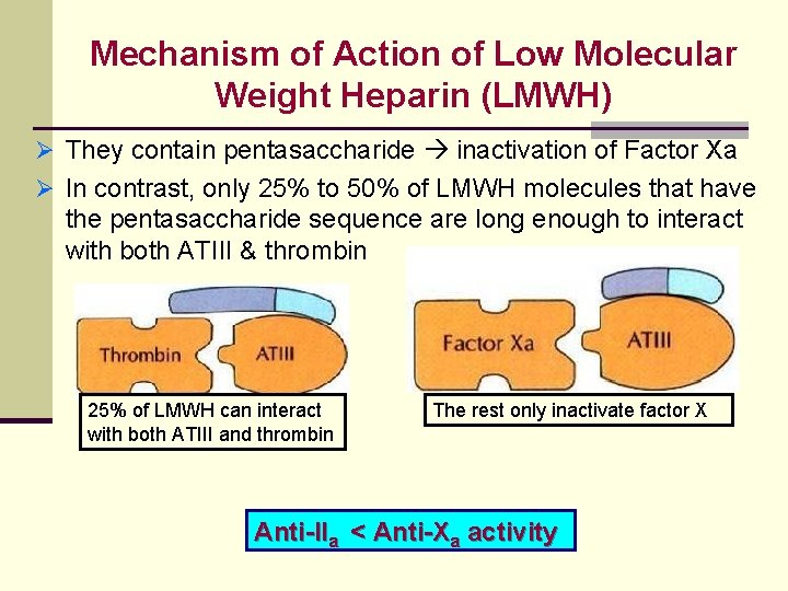 Mechanism of Action of Low Molecular Weight Heparin (LMWH) Ø They contain pentasaccharide inactivation