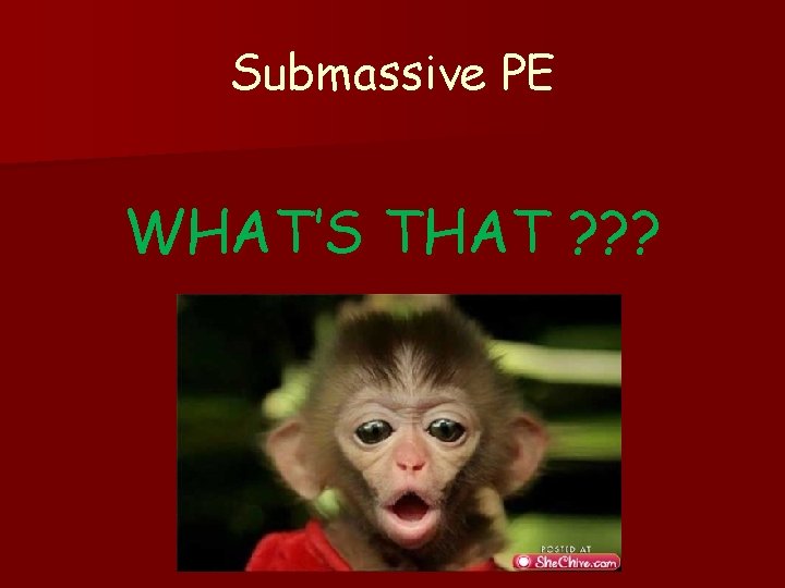 Submassive PE WHAT’S THAT ? ? ? 