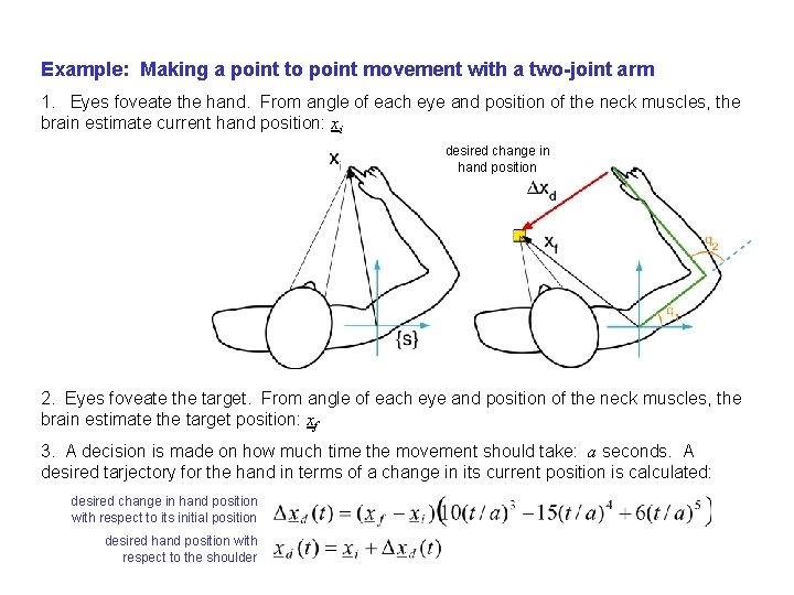 Example: Making a point to point movement with a two-joint arm 1. Eyes foveate