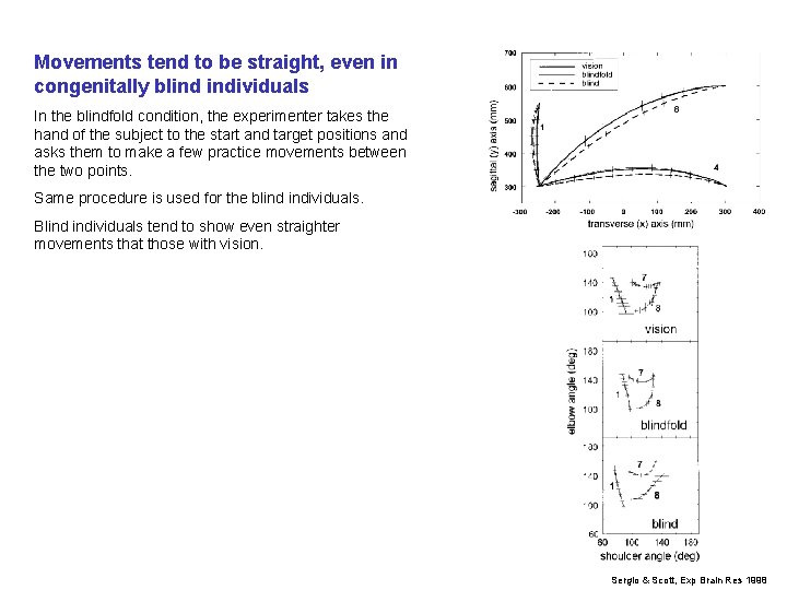 Movements tend to be straight, even in congenitally blind individuals In the blindfold condition,