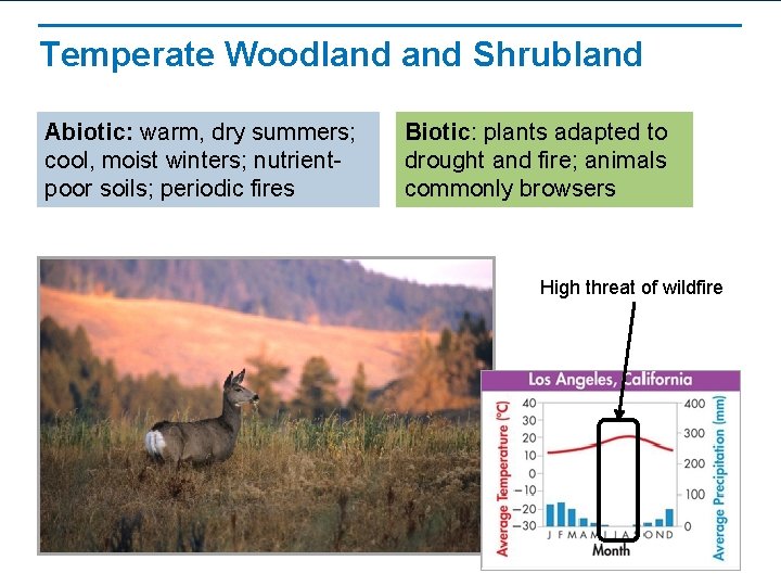 Temperate Woodland Shrubland Abiotic: warm, dry summers; cool, moist winters; nutrientpoor soils; periodic fires