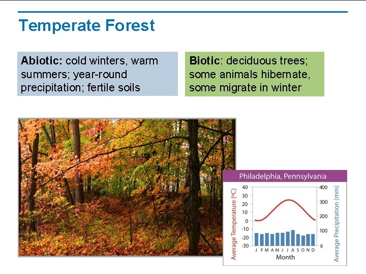 Temperate Forest Abiotic: cold winters, warm summers; year-round precipitation; fertile soils Biotic: deciduous trees;