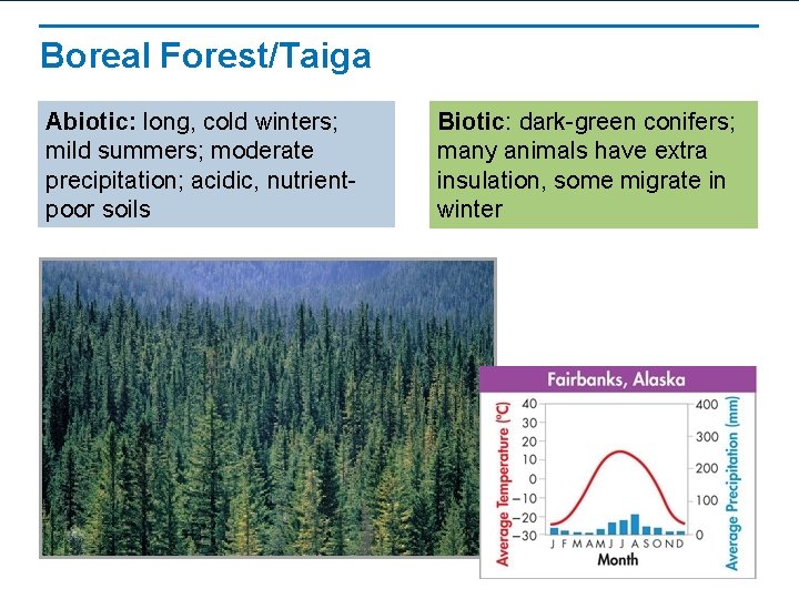 Boreal Forest/Taiga Abiotic: long, cold winters; mild summers; moderate precipitation; acidic, nutrientpoor soils Biotic: