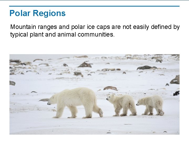 Polar Regions Mountain ranges and polar ice caps are not easily defined by typical