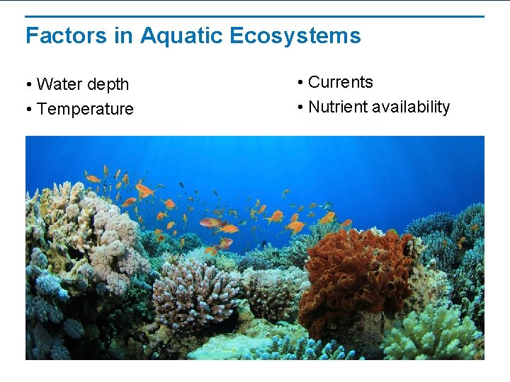 Biomes and Aquatic Ecosystems Learning Objectives Identify how