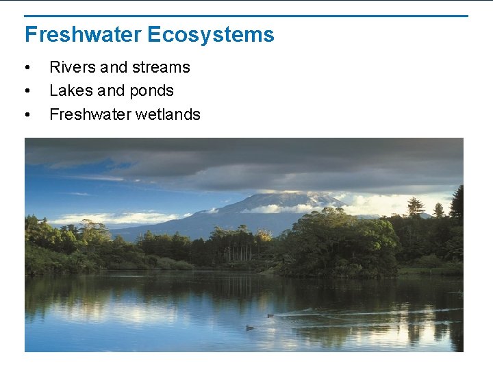 Freshwater Ecosystems • • • Rivers and streams Lakes and ponds Freshwater wetlands 