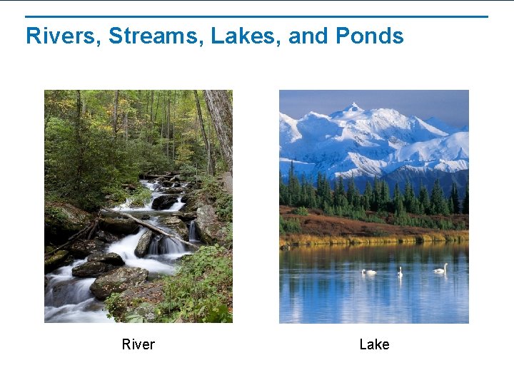 Rivers, Streams, Lakes, and Ponds River Lake 