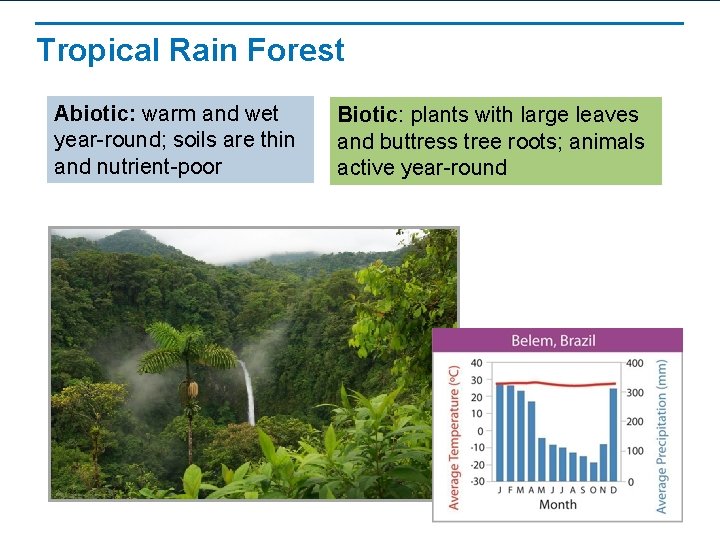 Tropical Rain Forest Abiotic: warm and wet year-round; soils are thin and nutrient-poor Biotic:
