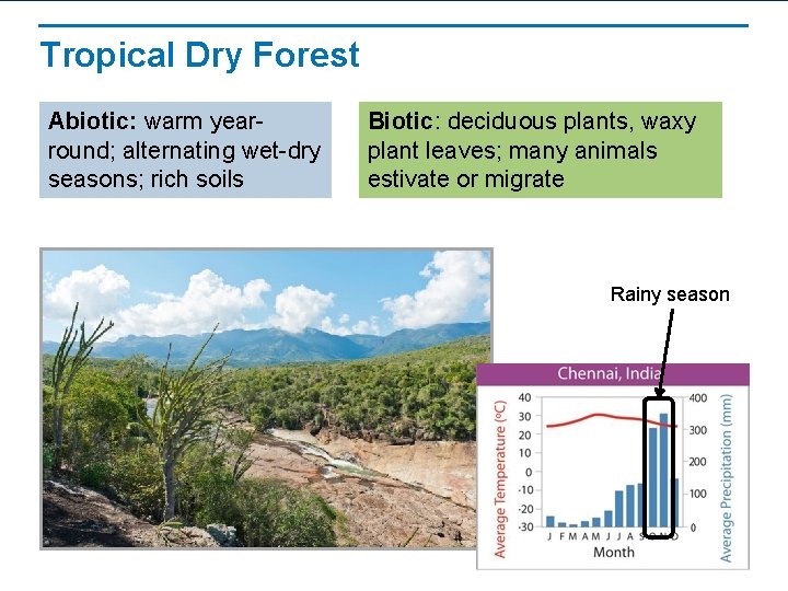 Tropical Dry Forest Abiotic: warm yearround; alternating wet-dry seasons; rich soils Biotic: deciduous plants,