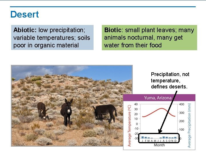 Desert Abiotic: low precipitation; variable temperatures; soils poor in organic material Biotic: small plant