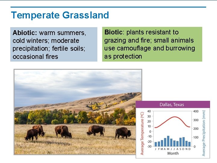 Temperate Grassland Abiotic: warm summers, cold winters; moderate precipitation; fertile soils; occasional fires Biotic: