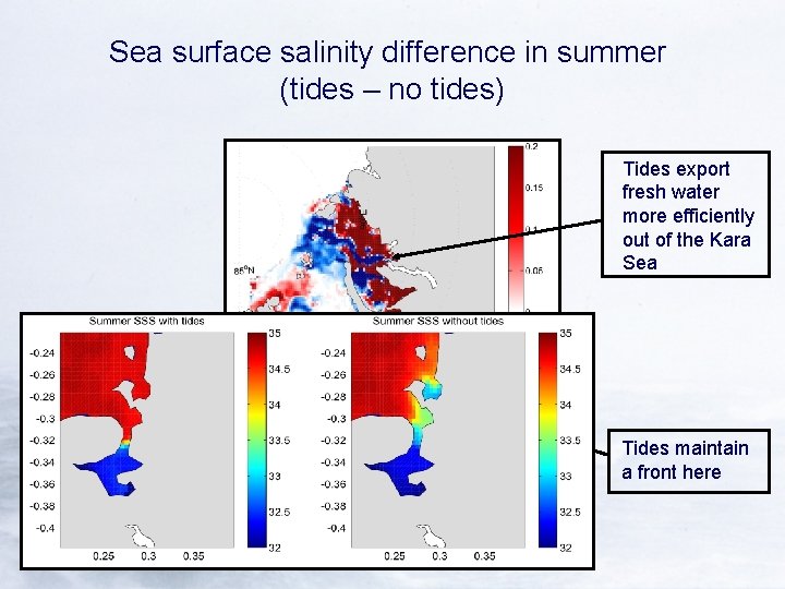 Sea surface salinity difference in summer (tides – no tides) Tides export fresh water