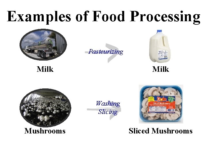 Examples of Food Processing Pasteurizing Milk Washing Slicing Mushrooms Sliced Mushrooms 