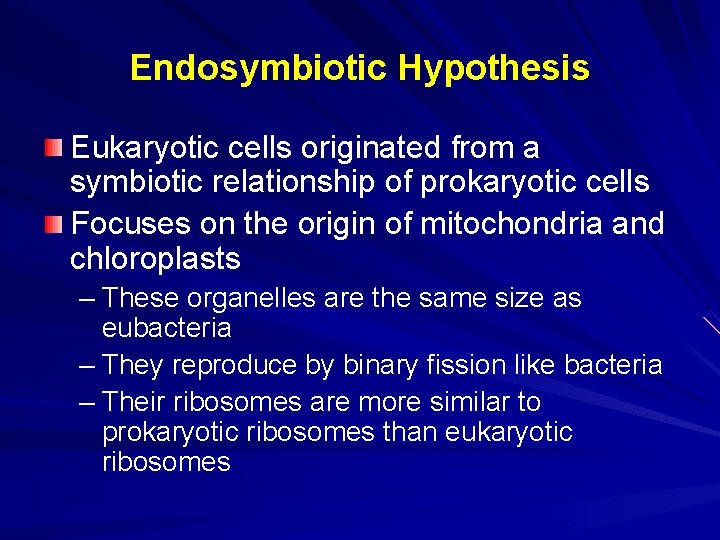 Endosymbiotic Hypothesis Eukaryotic cells originated from a symbiotic relationship of prokaryotic cells Focuses on