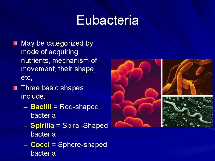 Eubacteria May be categorized by mode of acquiring nutrients, mechanism of movement, their shape,