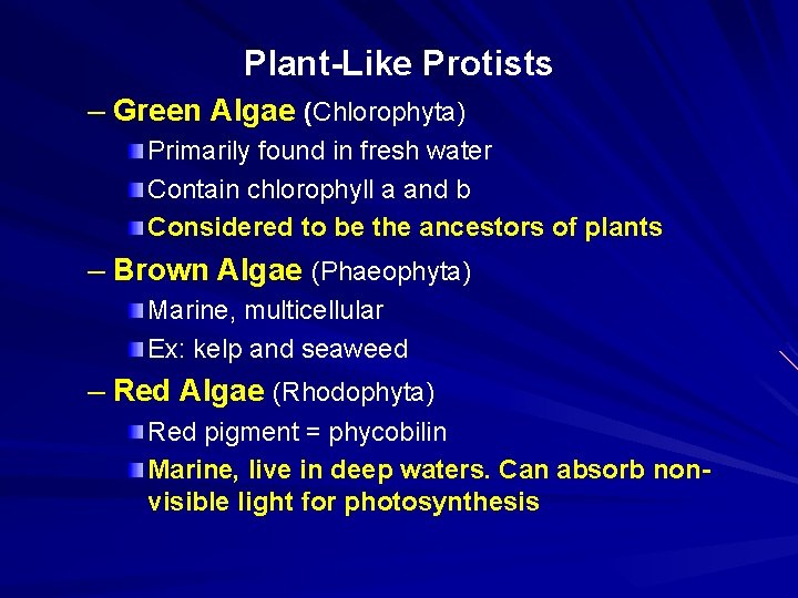 Plant-Like Protists – Green Algae (Chlorophyta) Primarily found in fresh water Contain chlorophyll a