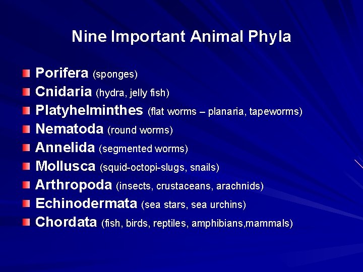 Nine Important Animal Phyla Porifera (sponges) Cnidaria (hydra, jelly fish) Platyhelminthes (flat worms –