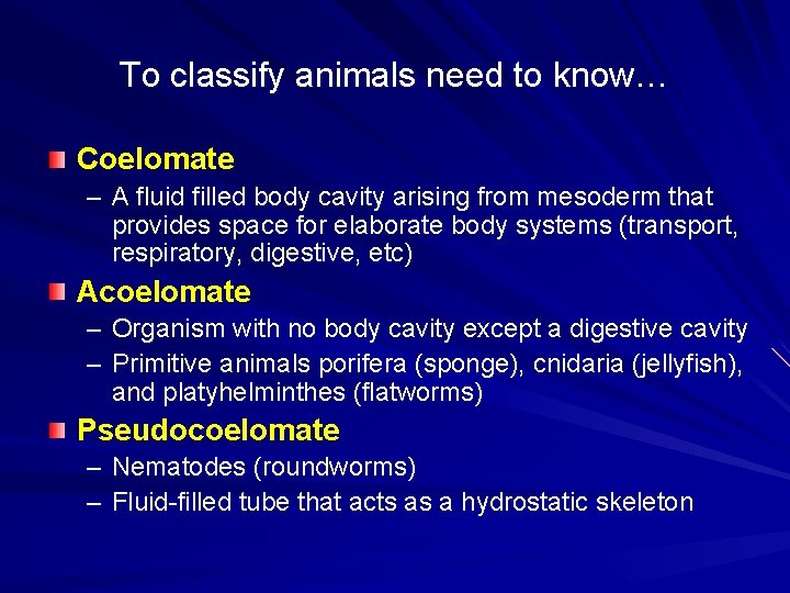 To classify animals need to know… Coelomate – A fluid filled body cavity arising