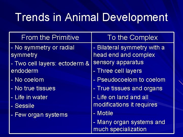 Trends in Animal Development From the Primitive - No symmetry or radial symmetry -