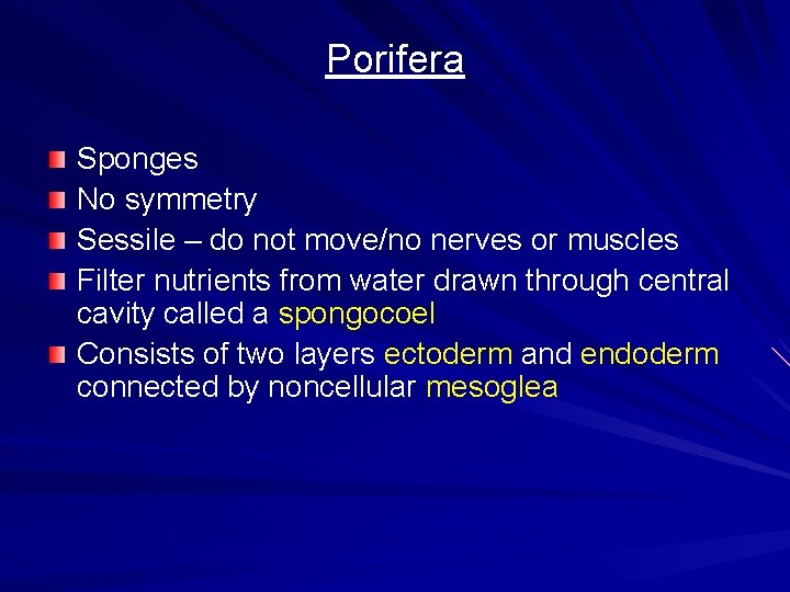 Porifera Sponges No symmetry Sessile – do not move/no nerves or muscles Filter nutrients