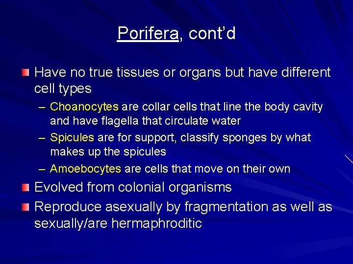 Porifera, cont’d Have no true tissues or organs but have different cell types –
