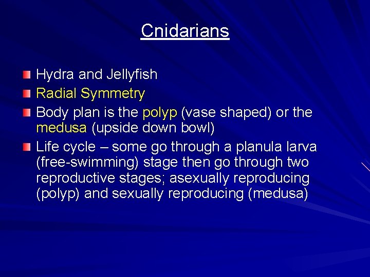 Cnidarians Hydra and Jellyfish Radial Symmetry Body plan is the polyp (vase shaped) or