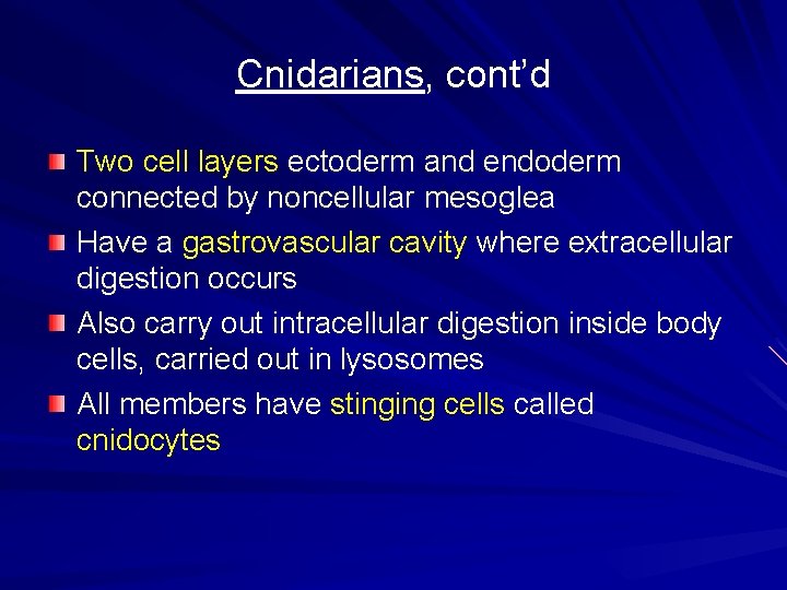 Cnidarians, cont’d Two cell layers ectoderm and endoderm connected by noncellular mesoglea Have a