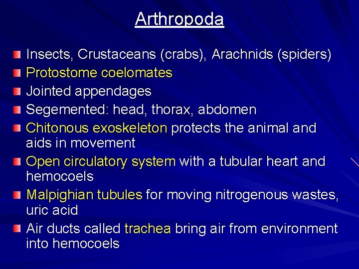 Arthropoda Insects, Crustaceans (crabs), Arachnids (spiders) Protostome coelomates Jointed appendages Segemented: head, thorax, abdomen