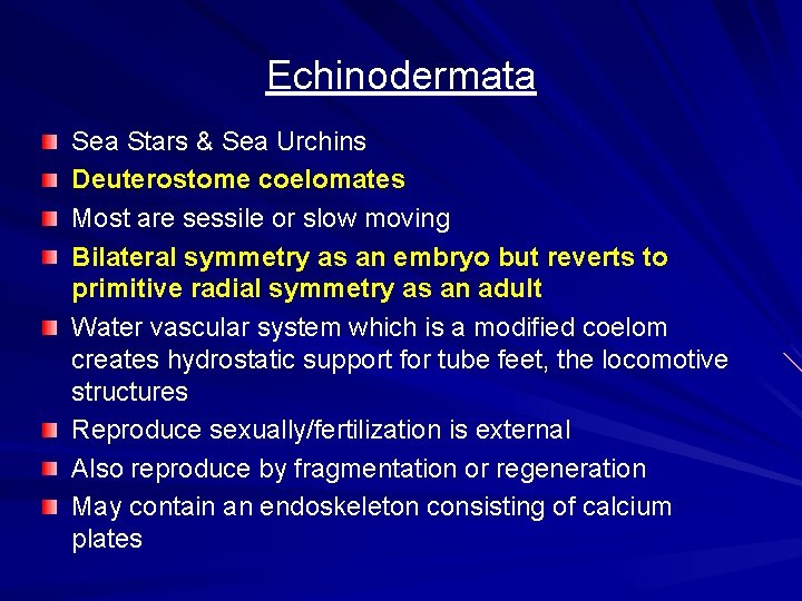 Echinodermata Sea Stars & Sea Urchins Deuterostome coelomates Most are sessile or slow moving