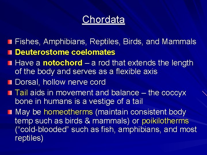 Chordata Fishes, Amphibians, Reptiles, Birds, and Mammals Deuterostome coelomates Have a notochord – a