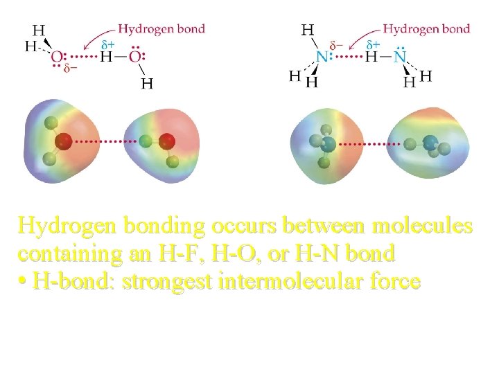 Hydrogen bonding occurs between molecules containing an H-F, H-O, or H-N bond • H-bond: