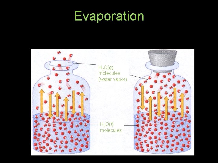 Evaporation H 2 O(g) molecules (water vapor) H 2 O(l) molecules 