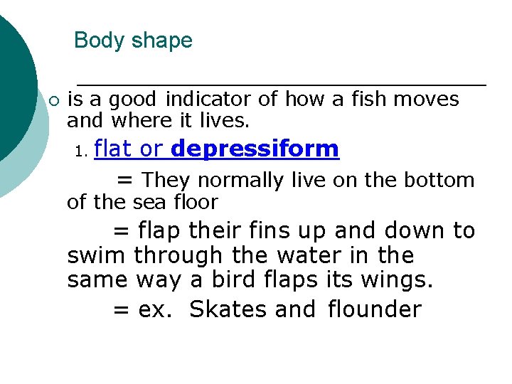Body shape ¡ is a good indicator of how a fish moves and where